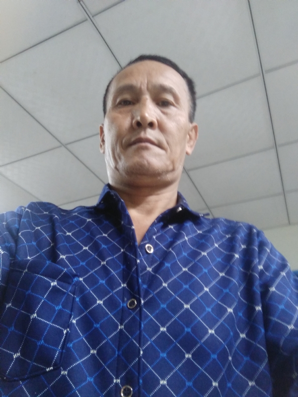 老树的第二张照片--江苏交友中心